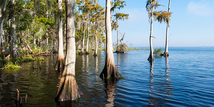 St. Johns River in Clay County