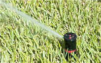 Rotary Sprinkler Head